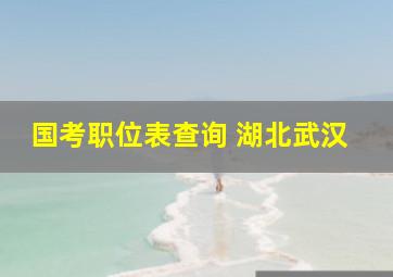 国考职位表查询 湖北武汉